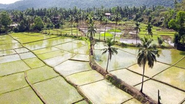 Business News | Indian Farmers to Benefit Most from UK-India FTA; No Tariff Concessions to UK on Dairy Products