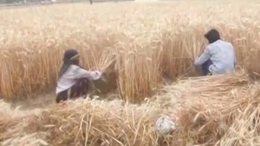 India News | Uttar Pradesh: ICAR-IIVR Launches WhatsApp Channel for Direct Communication with Farmers