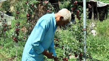 India News | J-K: Centre-sponsored Scheme MADS Transforms Lives of Orchard Farmers in Bhaderwah