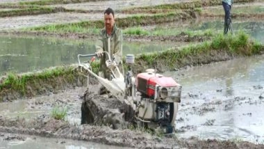India News | Life Restarts in Manipur's Conflict-hit Villages Through Farming