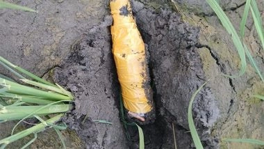 India News | BSF Recovers Pistol Parts, Live Rounds in Punjab's Tarn Taran