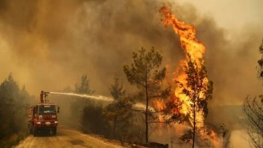 World News | Turkey Wildfires Displaces over 1,700; Kill 1 Firefighter