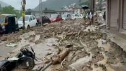 India News | Himachal: 2 Dead, 2 Missing After Heavy Rain Triggers Flood-like Situation in Mandi District