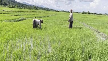India News | Ethnic Conflict Leaves Farmlands Abandoned in Manipur, Threatens Livelihoods and Food Security