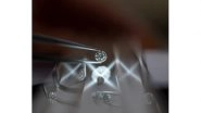 Business News | Natural Diamond Council Delivers Facts on the Diamond Market's Trending Topic