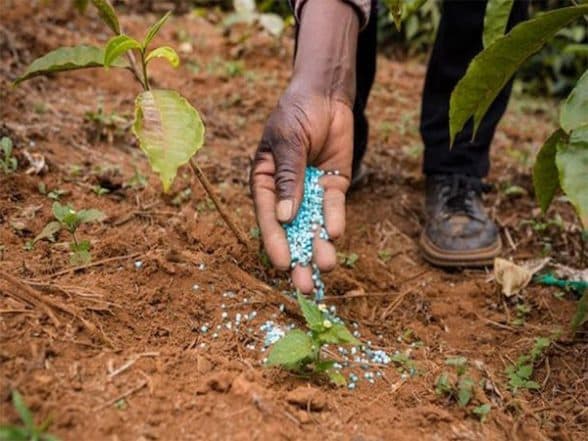 India News | Andhra MP Pill Subhas Chandra Bose Seeks Centre's Urgent Intervention to Resolve Urea Crisis in the State