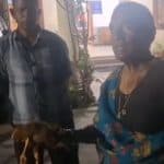 Chicken Dispute in Nalgonda: Elderly Woman Reaches Police Station After Neighbour Beats Her Hen With Stick in Telangana, Alleges Animal Cruelty; Video Surfaces