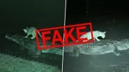 Is ‘Cat Riding Crocodile’ Video Real or Fake? Fact Check Reveals AI-Generated Clip Going Viral With Netizens Believing It To Be True