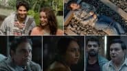 ‘Dhadak 2’ Trailer Out: Siddhant Chaturvedi and Triptii Dimri Are Promising in Karan Johar’s Spiritual Sequel; Fans Praise Lead Pair’s Chemistry (Watch Video)