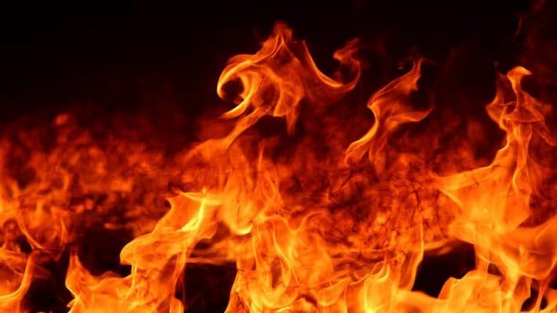 Seoul Fire: 2 Dead, 13 Injured After Blaze Erupts in 20-Story Apartment Building in South Korea Capital