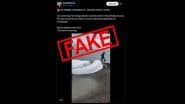 Did Animals Predict Earthquake in Russia? Fact Check Debunks Viral Claim That 5 Beluga Whales Washed Ashore Before Kamchatka Quake; Old Video Shared With False Context