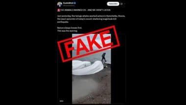Did Animals Predict Earthquake in Russia? Fact Check Debunks Viral Claim That 5 Beluga Whales Washed Ashore Before Kamchatka Quake; Old Video Shared With False Context