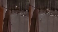 Cambodia: Man Captures Gecko Igniting Fire From Its Tail in His Backyard, Netizens React As Video Goes Viral