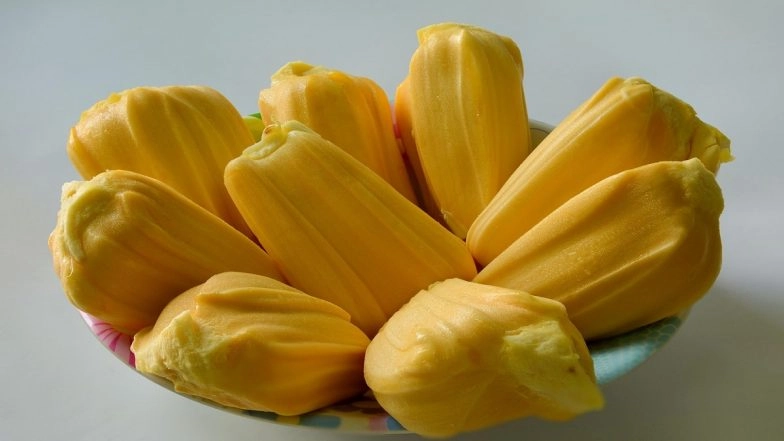 Kerala: KSRTC Driver Fails Breathalyser Test After Consuming Jackfruit in Pathanamthitta; Can This Fruit Really Get You Drunk? Check Details