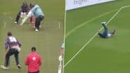 Kane Williamson Catch Video: Watch Star New Zealand Cricketer Show Amazing Footwork to Take Stunning Catch of Jason Roy During Middlesex vs Surrey Blast T20 Match