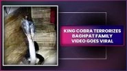 Baghpat Nightmare: Family Wakes to 6-Foot King Cobra Hissing in Their Bedroom, Terrifying Video Goes Viral