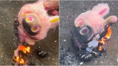 Are Labubus Demonic? Influencer Burns Viral Creepy-Looking Doll After Suffering Health Issues, 2 Days After the Toy Purchase (Watch Video)