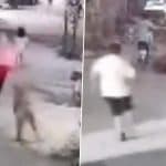 Lion Attack Caught on Camera in Pakistan: Big Cat Escapes Home, Attacks Woman and 2 Children on Busy Street in Lahore; Terrifying Video Surfaces