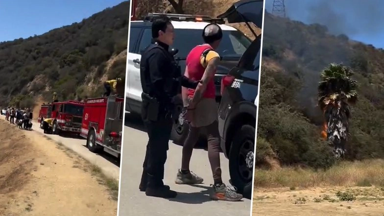 Los Angeles: Homeless Man Arrested for Setting Fire in US After Former College Football Player Watches Him Walk Away From Burning Tree, Video Surfaces