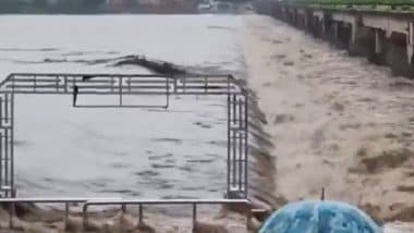 Madhya Pradesh Rains: Monsoon Havoc Continues in Eastern MP, Schools Shut In Mandla and Dindori