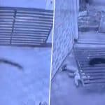 Moradabad: Security Guard Dies After Iron Sliding Gate of Motorcycle Showroom Falls on Him in Uttar Pradesh, Disturbing Video Surfaces