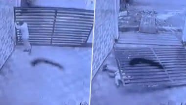 Moradabad: Security Guard Dies After Iron Sliding Gate of Motorcycle Showroom Falls on Him in Uttar Pradesh, Disturbing Video Surfaces