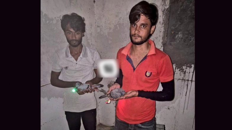 Drone Scare in Muzaffarnagar? 2 Tie Red and Green Lights to Pigeons' Legs, Release Birds at Night Shouting 'Drone' To Create Fear and Confusion; Arrested (See Pic)