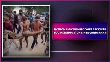 UP: Children Carry Python in Bare Hands for Reels and Selfies in Bulandshahr, Video of Reckless Stunt Goes Viral