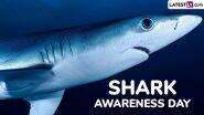 Shark Awareness Day 2025 Date and Significance: All You Need To Know About the Day That Highlights the Need To Conserve and Protect the Shark Population