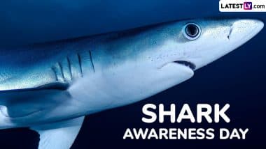 Shark Awareness Day 2025 Date and Significance: All You Need To Know About the Day That Highlights the Need To Conserve and Protect the Shark Population