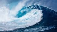 When Will Tsunami Come in Japan? When Will Tsunami Waves Hit Hawaii, Alaska, California and Washington? Check Estimated Arrival Times