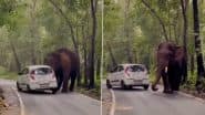 Elephant Attack in Thrissur: Wild Elephant Attacks Car on Streets of Athirappilly in Kerala, Video Surfaces