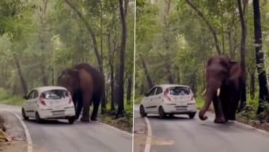Elephant Attack in Thrissur: Wild Elephant Attacks Car on Streets of Athirappilly in Kerala, Video Surfaces