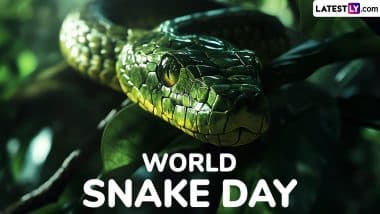 World Snake Day 2025 Date and Significance: Here’s Everything About the Day That Aims To Increase Awareness About Different Snake Species