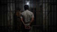 Gujarat Human Trafficking Case: ED Arrests Bobby Patel in Connection With Large-Scale Human Trafficking Racket, INR 7 Crore Under Probe