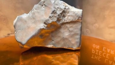 Biggest Piece of Mars on Earth (NWA 16788) Going Up for Auction in New York; Could Sell for USD 4 Million