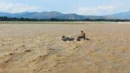 Pakistan Rains: Over 123 Killed, 462 Injured in Punjab Province During Record Torrential Monsoon Rains