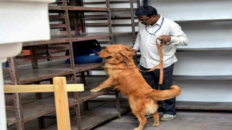 Uttar Pradesh: Panic Grips Kanpur As Suspicious Box Found Near Post Office in Cantonment Area; No Explosives Found