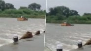 Rajasthan Rains: Mini-Truck Swept Away in Dholpur&rsquo;s Parvati River, 2 Rescued by Locals; Driver and Cleaner Feared Drowned (Watch Video)