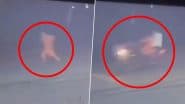 Balrampur Horror: Deaf-Mute Woman Gang-Raped Near Government Officials’ Homes in UP; 2 Arrested After Police Encounter, Chilling Video Shows Culprits Chasing Victim