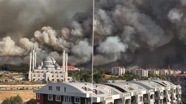 Turkey Wildfire: Terrifying Video Shows Intense Smoke Clouds Engulfing Residential Areas Near Canakkale Amid Firefighting Efforts