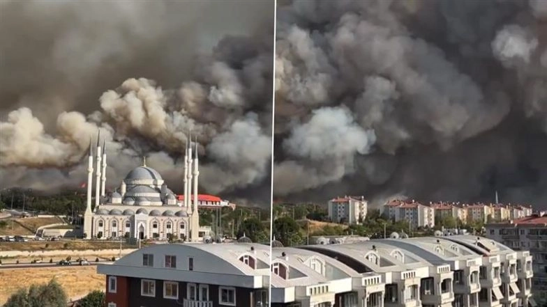 Turkey Wildfire: Terrifying Video Shows Intense Smoke Clouds Engulfing Residential Areas Near Canakkale Amid Firefighting Efforts