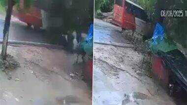 Barabanki Tree Collapse: 5 Killed After Tree Falls on Moving Bus Amid Rainfall in Uttar Pradesh; CCTV Video Surfaces