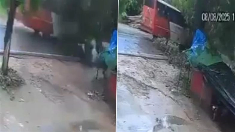 Barabanki Tree Collapse: 5 Killed After Tree Falls on Moving Bus Amid Rainfall in Uttar Pradesh; CCTV Video Surfaces