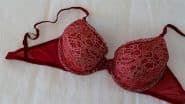 What Is the Full Form of Bra? Know Origin and Evolution of Women’s Underwear, Falsely Connoted As ‘Breast Resting Area’