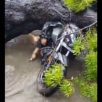 Delhi Rains: Biker Crushed to Death After Tree Falls on Vehicle in Kalkaji, Disturbing Video Surfaces