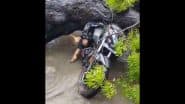 Delhi Rains: Biker Crushed to Death After Tree Falls on Vehicle in Kalkaji, Disturbing Video Surfaces