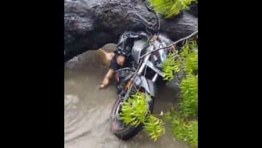 Delhi Rains: Biker Crushed to Death After Tree Falls on Vehicle in Kalkaji, Disturbing Video Surfaces
