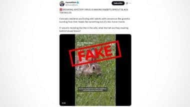 Is Mysterious &lsquo;Black Tentacle Virus&rsquo; Turning US Rabbits Into Horned Creatures? Experts Dismiss &lsquo;New Disease&rsquo; Claims, Viral Pictures Likely Linked to Shope Papilloma Virus Outbreak in Colorado