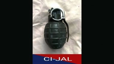 Punjab Police Arrest 2 Babbar Khalsa International Terror Operatives in Jalandhar, Chinese Type Hand Grenade Recovered